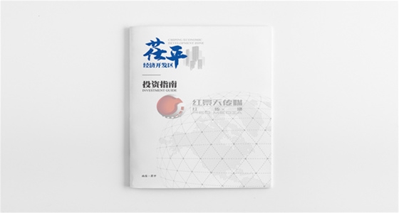 济南茌平经济开发区画册设计
